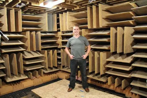 一個沒有噪音的世界，你能接受嗎？