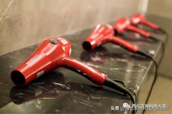 央視“點名”關注!陝西這所高校的全魚宴、巧克力饅頭饞哭網友 央視“點名”關注!陝西這所高校的全魚宴、巧克力饅頭饞哭網友