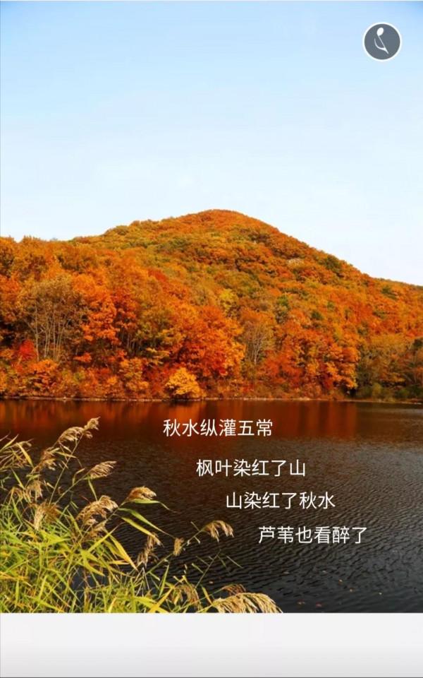 五常的秋天，不想和你說再見