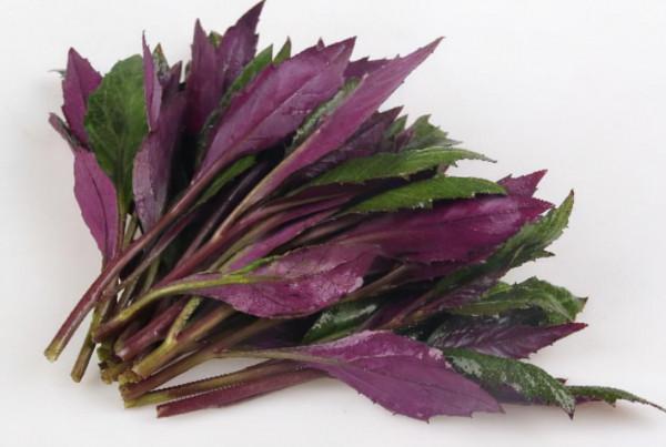 不建議常吃的6種蔬菜,為了健康,進來看看有你愛吃的嗎? 不建議常吃的6種蔬菜,為了健康,進來看看有你愛吃的嗎?