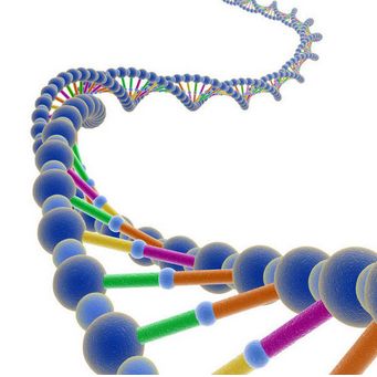 乙肝在研小核酸藥物代表，siRNA以及ASO，簡介作用原理及候選藥物