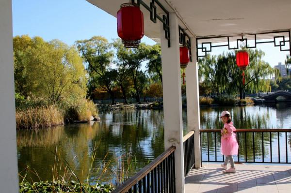 北京玉淵潭公園:深秋美景醉煞人 #秋日好時光##小生活,大財富# 北京玉淵潭公園:深秋美景醉煞人 #秋日好時光##小生活,大財富#