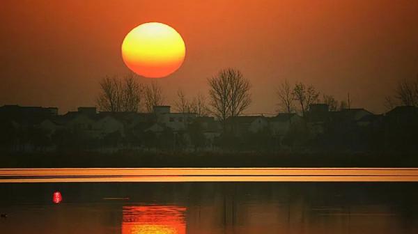 淮陽龍湖國家溼地公園裡的這些可愛的鳥,你見過多少? 淮陽龍湖國家溼地公園裡的這些可愛的鳥,你見過多少?