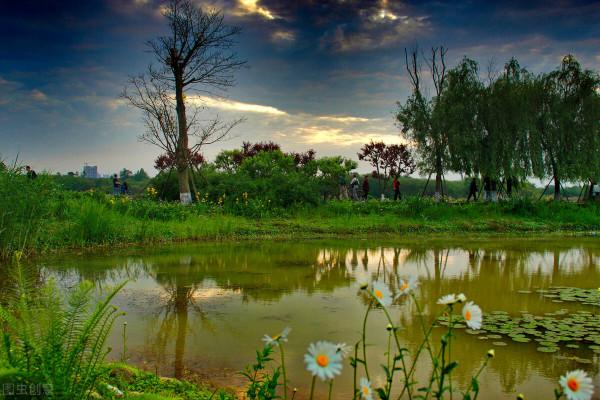 美景的初戀 美景的初戀