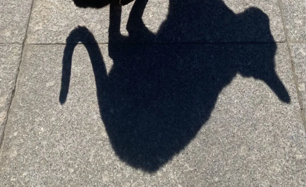 你能全答對，算我輸