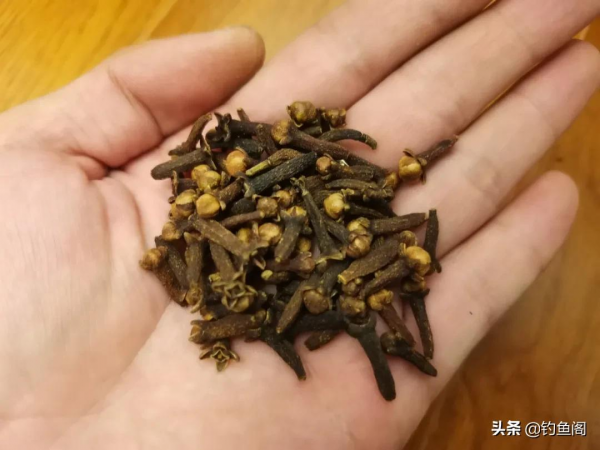 在家自制丁香油,拿蚯蚓蘸一下再施釣,魚兒的咬鉤率明顯增加 在家自制丁香油,拿蚯蚓蘸一下再施釣,魚兒的咬鉤率明顯增加