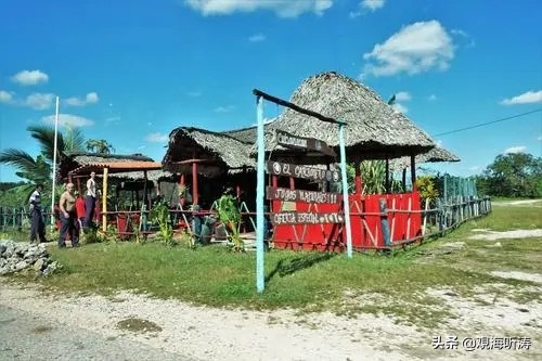 “不祥之鳥”導演的絕密行動：2000萬美元與幾家歡喜幾家愁