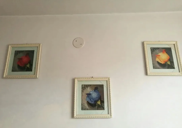 ​看完爸媽幫忙裝修的新房，我想離家出走