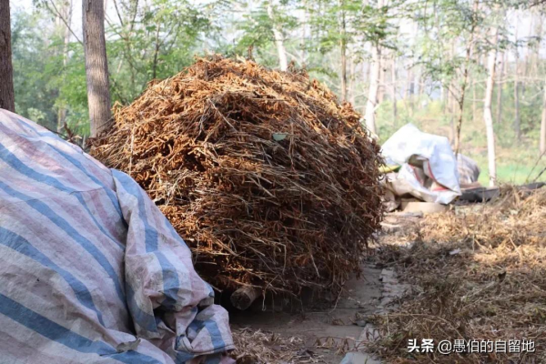 這才是真實的十月鄉村，純樸而美好，看後彷彿回了一次老家