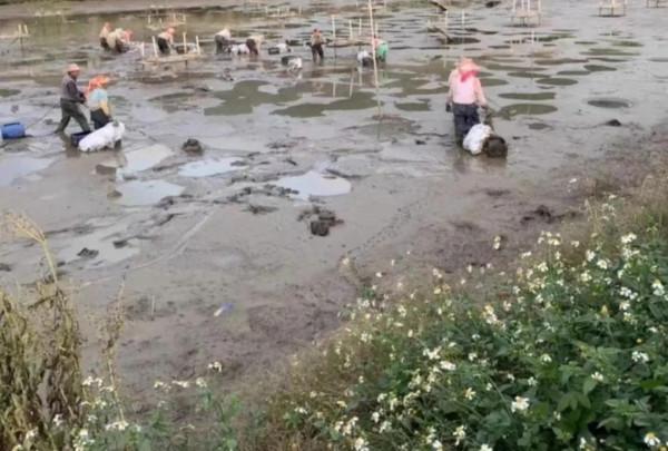 大叔深山養殖:八萬只團魚,兩三年過後,讓他大賺了三千六百萬元 大叔深山養殖:八萬只團魚,兩三年過後,讓他大賺了三千六百萬元