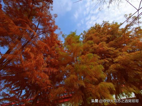 五百灘公園，每週一個公園，今天走進五百灘公園