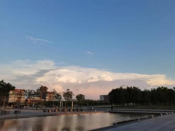 擅長器官移植、消化道腫瘤治療!遼寧教授曾獲法國內務部關注,如今登上央視! 擅長器官移植、消化道腫瘤治療!遼寧教授曾獲法國內務部關注,如今登上央視!