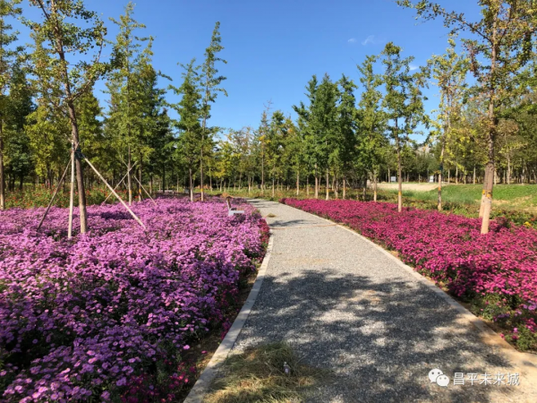 首次曝光！溫榆河公園昌平一期探秘，實在太美了