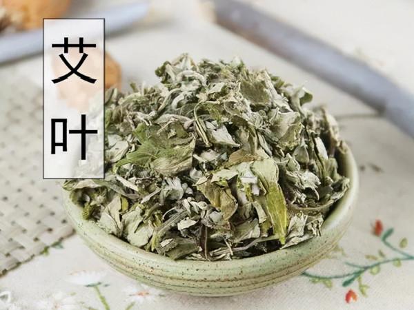 每天學習一味中藥——艾葉