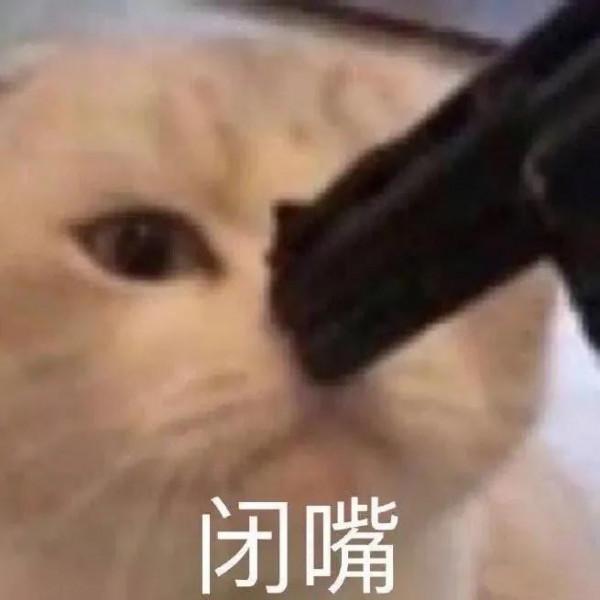 可愛貓貓表情包第二彈