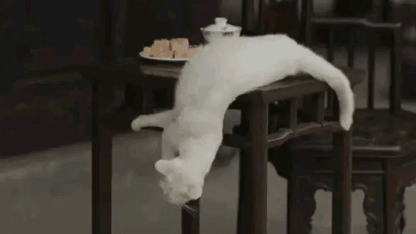 “當家主母殺貓事件”登上熱搜:倘若藝術沾了鮮血,觀眾寧願不看 “當家主母殺貓事件”登上熱搜:倘若藝術沾了鮮血,觀眾寧願不看