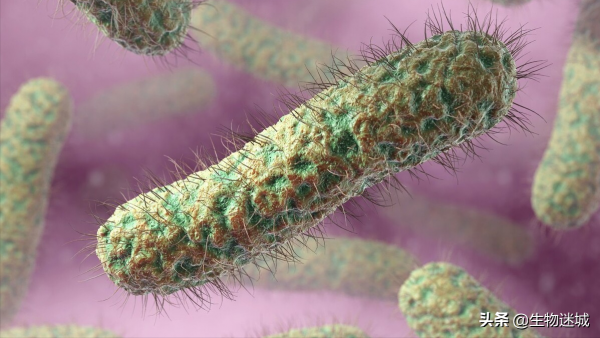 能夠“逆天改命”的基因剪刀——修改生命天書 能夠“逆天改命”的基因剪刀——修改生命天書