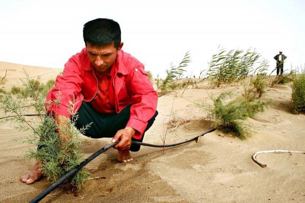 重回盛唐?西北乾枯湖泊河流正在“復活”,新疆正變為塞上江南? 重回盛唐?西北乾枯湖泊河流正在“復活”,新疆正變為塞上江南?