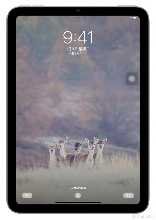 終於等到你還好我沒放棄~果粉開箱iPad mini6使用體驗 終於等到你還好我沒放棄~果粉開箱iPad mini6使用體驗