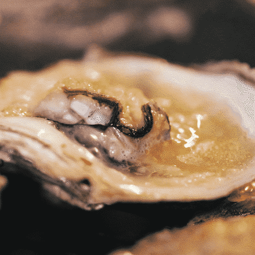 北海隔壁，廣西這座安逸老城！高鐵直達，嗦粉水果自由，早該火了