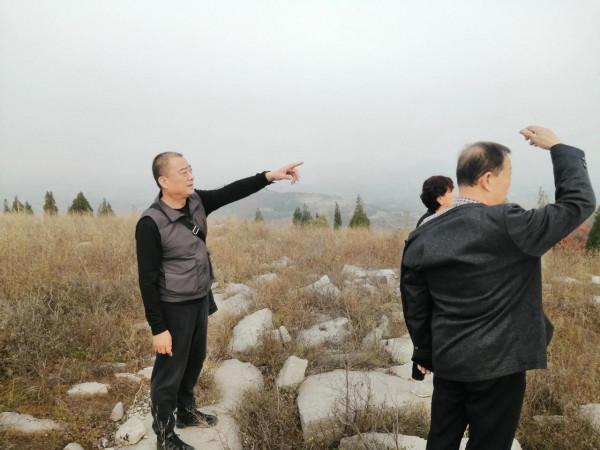 登上臥牛山寨，探秘千年古山寨風采