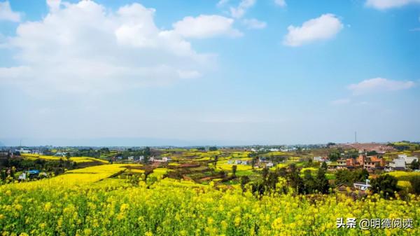 紅樓夢揭露的4個生存層次，你活在哪一層？