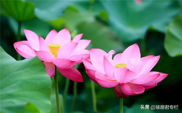 一種高階的人生活法：慢