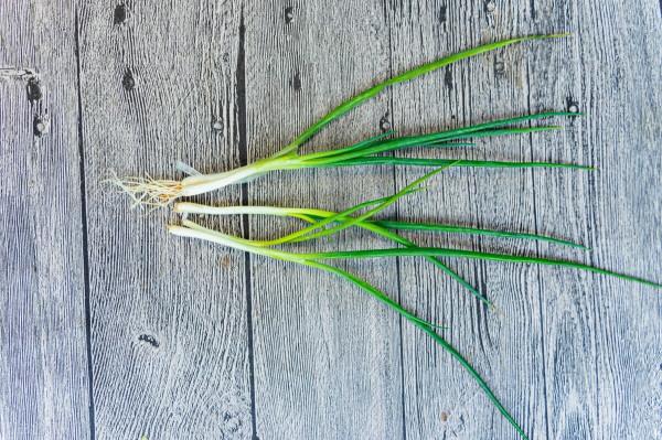 香蔥怎麼儲存?老菜農教你3招,不用隔三差五買香蔥,方法太棒了 香蔥怎麼儲存?老菜農教你3招,不用隔三差五買香蔥,方法太棒了