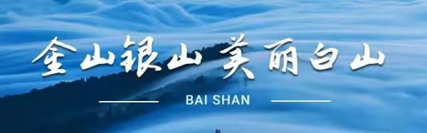 反詐漫畫：騙子的自述（上）