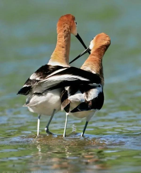 點亮愛的翅膀，帶著你一路飛翔，旅途有你，便是天堂