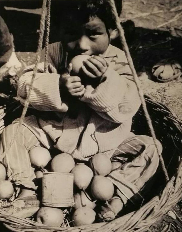 80年,聶榮臻和日本“女兒”時隔40年重逢,她是誰,兩人咋相識的 80年,聶榮臻和日本“女兒”時隔40年重逢,她是誰,兩人咋相識的