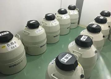 冷知識！檳榔致癌？肚臍裡的生物多樣性？地球的病毒比恆星還多？