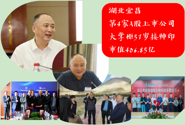湖北宜昌第4家A股上市公司:大掌櫃51歲接“帥印”,市值406.85億 湖北宜昌第4家A股上市公司:大掌櫃51歲接“帥印”,市值406.85億