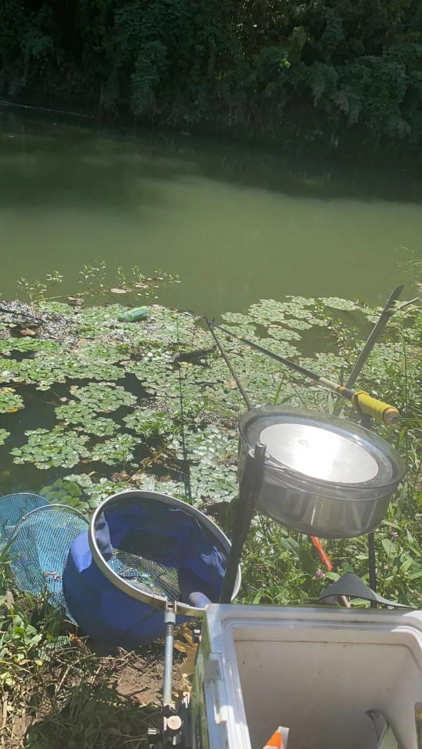 金秋十月野釣大鯽 金秋十月野釣大鯽