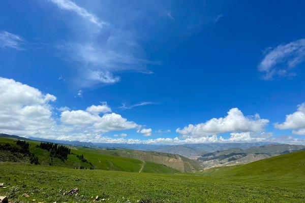 城市SUV也有硬實力 多路況試駕哈弗大狗 城市SUV也有硬實力 多路況試駕哈弗大狗