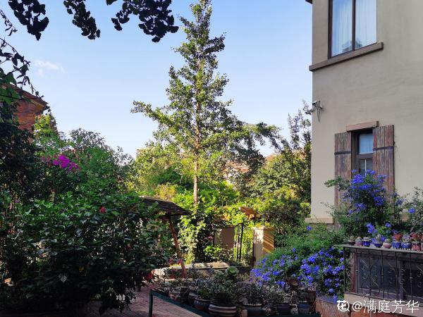 有這4個特點的院子,不拿來養花,簡直就是浪費 有這4個特點的院子,不拿來養花,簡直就是浪費