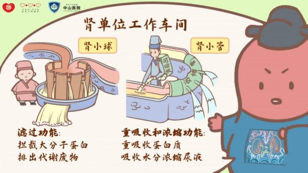 還在頓頓大魚大肉？《1234養腎食譜》瞭解一下！腎：求求你疼疼我吧T&period;T