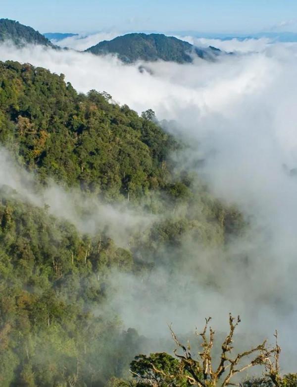 雲南冬日多神奇!雲錦霧瀾似畫卷 雲南冬日多神奇!雲錦霧瀾似畫卷