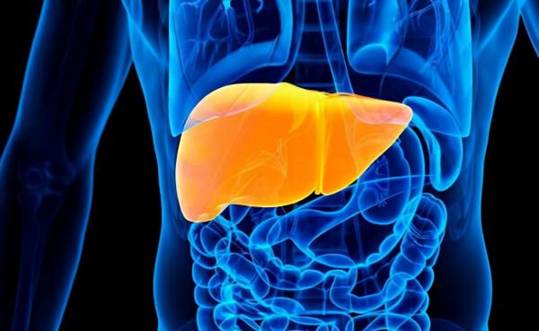 天天睡眠充足,但每天經常犯困瞌睡,醫生:有病作祟 天天睡眠充足,但每天經常犯困瞌睡,醫生:有病作祟