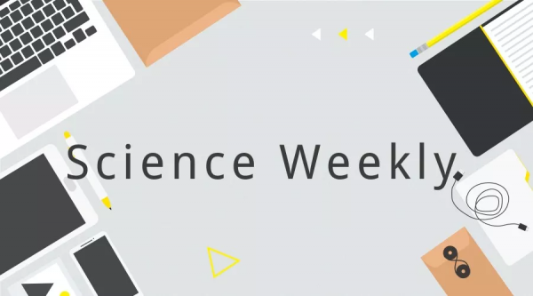 “心有靈犀”時，大腦發生了什麼變化？| 一週科技