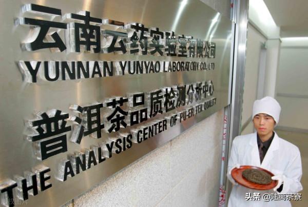喝普洱茶得氟骨病？普洱茶氟超標？揭秘普洱茶氟含量真相