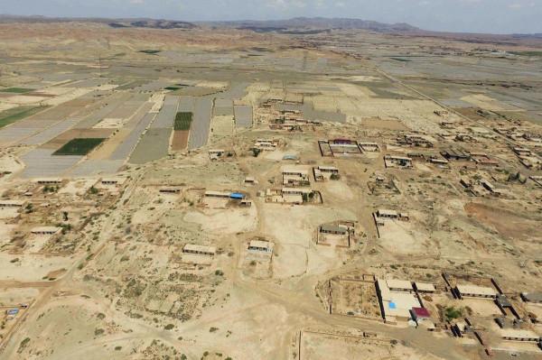 “戈壁西瓜”——硒砂瓜被區域性禁種?它對土壤的危害有多大? “戈壁西瓜”——硒砂瓜被區域性禁種?它對土壤的危害有多大?