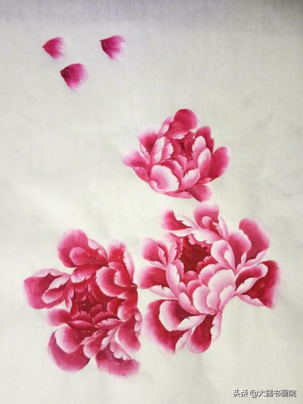國畫寫意牡丹花,如何勾畫出層次感?畫師教你一招,輕鬆畫好 國畫寫意牡丹花,如何勾畫出層次感?畫師教你一招,輕鬆畫好