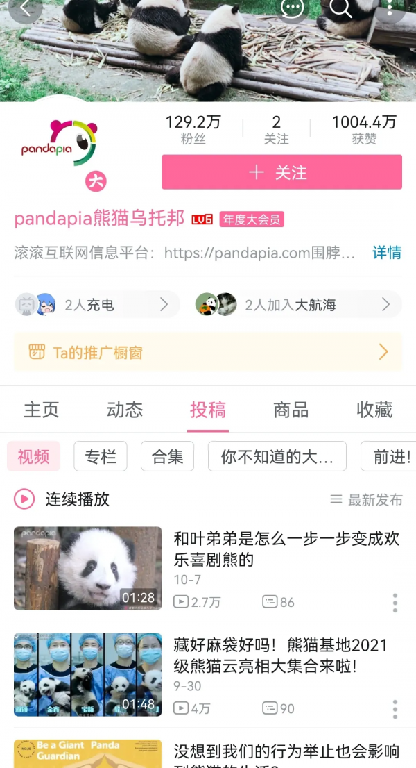 ​B站萌寵UP主盤點：花花與三貓繼續領跑，新增三位百萬級UP主