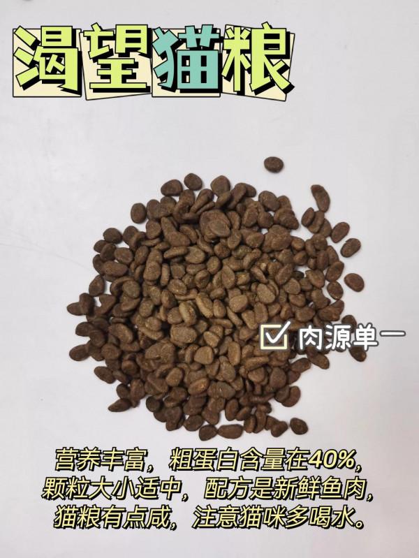 別再踩雷了，貓咪承受不了你折騰還不會選貓糧？