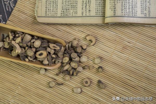 鬱鬱寡歡？分享五味中藥，善解六鬱，送給正在糟心的你