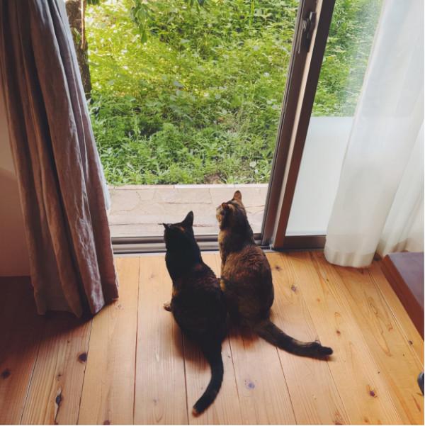 54歲日本阿姨獨居照,簡單高階,一個人住,輕奢風十足,治癒極了 54歲日本阿姨獨居照,簡單高階,一個人住,輕奢風十足,治癒極了