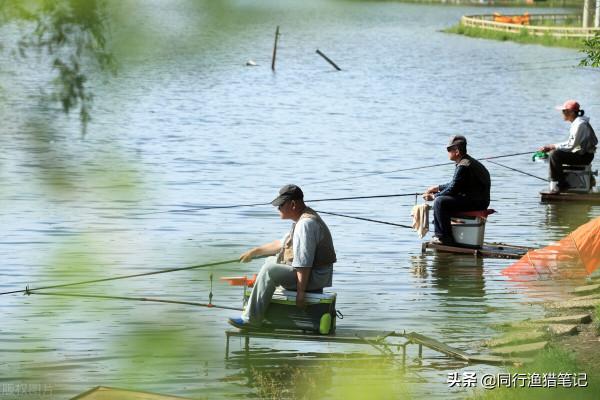 收費十元可以釣大魚,魚塘老闆聰明反被聰明誤,這次賠大了 收費十元可以釣大魚,魚塘老闆聰明反被聰明誤,這次賠大了
