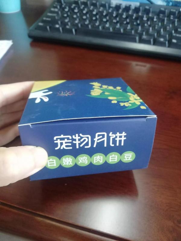 邊牧變臉有多快