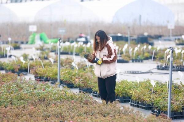 “線上”花開 主播備貨